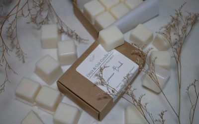 Summer Break Scented Wax Melts